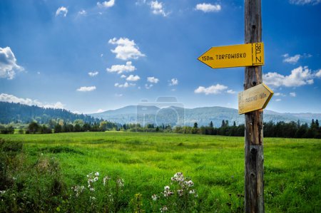Travel Sign Tarnawa peat bog. Peatland bog habitat in mountains, Tarnawa Wyzna, Bieszczady, Bieszczady National Park, Outer Eastern Carpathians, Poland