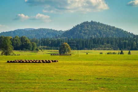 Bieszczady montañas paisaje, colinas del bosque, fardos de heno, prado de heno. Beinowa, cerca de la frontera con Ucrania, Voivodato subcarpático, sureste de Polonia. Último verano, hora dorada.