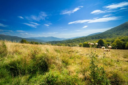 Foto de Hermoso paisaje de montaña, prado de montaña, vista a la montaña con cielo azul, cerca de Wyznianski Wierch, Parque Bieszczady Natioanal, Cárpatos, Polonia. - Imagen libre de derechos