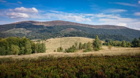 Foto de Vista de Polonina Carynska, un pico notable en el Parque Nacional Bieszczady. Vida silvestre, hermoso paisaje de montaña. Último verano, día soleado. - Imagen libre de derechos