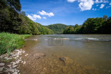 Flachfluss mit Steinen, Flusstal San im Bieszczady-Gebirge, Mittelgebirgsrücken bewaldet, Spätsommer