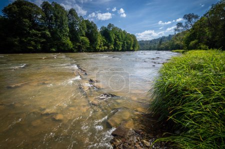 Photo for Shallow river with stones, San river valley in Bieszczady mountains, low mountain ridges covered with forest, late summer - Royalty Free Image