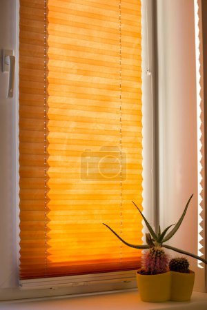 Photo for Pleated blinds with orange folded fabric on the window close up. On the windowsill stands home plant in yellow flower pot. Cordless bottom up top down pleated shade with white lower bar. - Royalty Free Image
