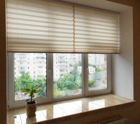 Foto de Pleated blinds XL, beige color, with 50mm fold closeup in the window opening in the interior. Home blinds - modern bottom up privacy shades half raised on apartment windows. - Imagen libre de derechos