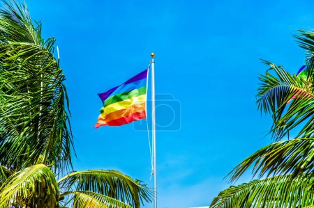 ¡Explora vibrantes imágenes LGBTQ +! Descargue impresionantes imágenes de banderas de arco iris, eventos de orgullo y diversas comunidades. Celebra la inclusividad y la diversidad con estas poderosas imágenes capturando la esencia