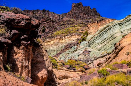 Volcanic Rock Basaltic Formation in Gran Canaria Canary Islands