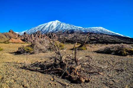 Desert Landscape in Volcan Teide National Park, Tenerife, Canary Island, Spain