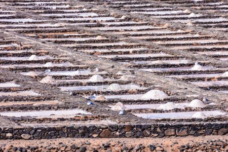 Foto foto del campo de producción plano de sal