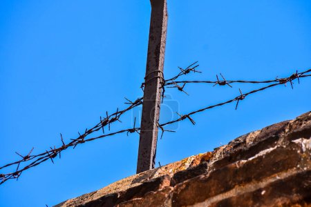 Photo Picture of the Dangerous Barbed Wire on the blue sky