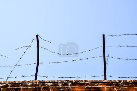 Photo Picture of the Dangerous Barbed Wire on the blue sky