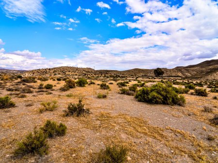 Vista del desierto de Tabernas en la provincia de Almería España