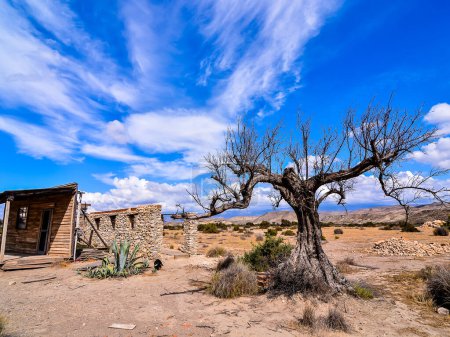 Vue sur le désert Tabernas dans la province d'Almeria Espagne