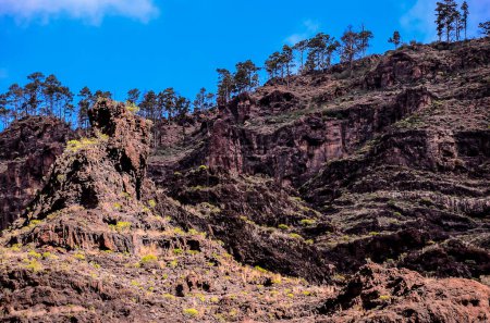 Volcanic Rock Basaltic Formation in Gran Canaria Canary Islands