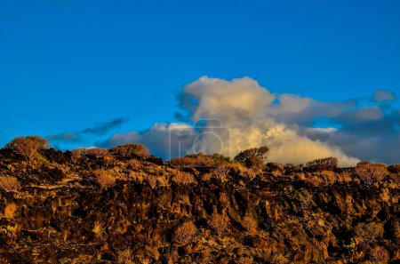Formación Basáltica de Roca Volcánica en Canarias