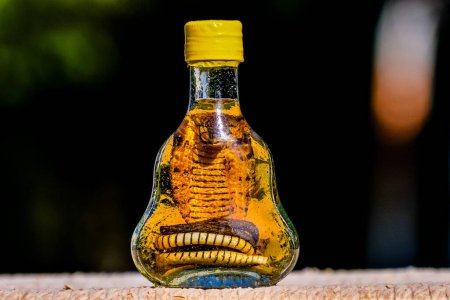 Bottle of Alcohol containing a Dangerous Cobra snake
