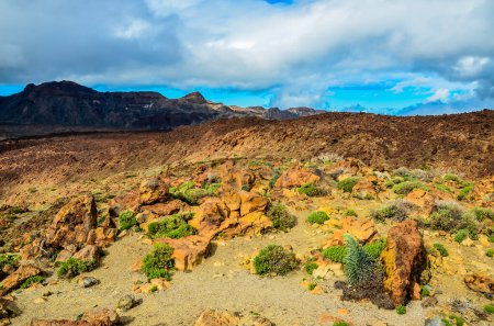 Un paysage désertique rocheux avec quelques plantes poussant dans la saleté. Le ciel est nuageux, mais le soleil brille encore. La scène est paisible et sereine, avec la vaste étendue de rochers