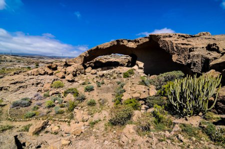 Un paysage désertique rocheux avec une grande arche au milieu. L'arche est entourée de quelques petits buissons et plantes. Le ciel est clair et bleu, et le soleil brille