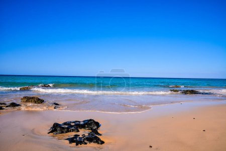 Ein Strand mit großen Felsen im Sand. Das Wasser ist ruhig und der Himmel klar