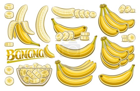 Ilustración de Conjunto de plátanos vectoriales, cartel horizontal con colección de lotes de ilustraciones recortadas bodegón de frutas, plátanos picados en plato transparente, grupo de muchos racimos de plátanos de variedad y plátano de palabra amarilla - Imagen libre de derechos