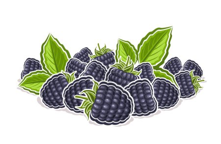 Illustration for Vector logo for Blackberry, decorative horizontal poster with outline illustration of ripe blackberry composition with green sprigs, cartoon design fruity print with blackberries on white background - Royalty Free Image