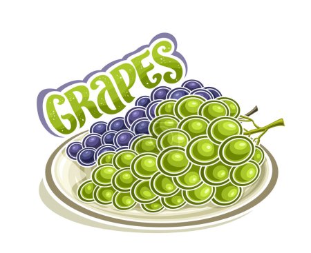 Illustration for Vector logo for Grapes, decorative horizontal poster with outline illustration of green and blue grapes bunches composition on dish, cartoon design fruity print with text grapes on white background - Royalty Free Image