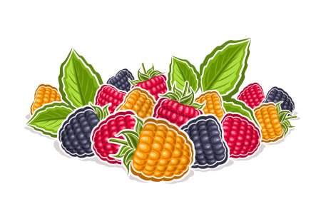 Vector logo for Wild Berry, decorative horizontal poster with outline illustration of colorful raspberry composition with green sprig, cartoon design fruity print with wild berries on white background