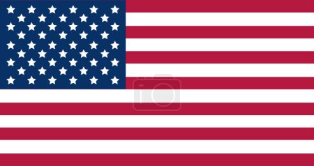Amerikanische USA-Flagge mit Vektorillustration in echten Farben