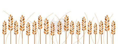 Téléchargez les illustrations : Illustration vectorielle du champ de blé or - en licence libre de droit