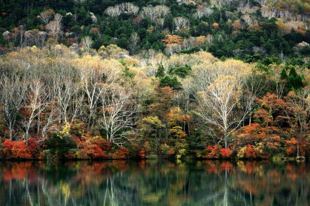 Téléchargez les photos : Le décor de belles feuilles d'automne au Japon Le décor de Nikko Yunoko comme une peinture - en image libre de droit