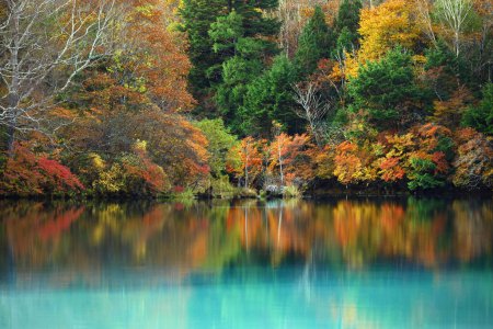 Photo for The scenery of beautiful autumn leaves in Japan The scenery of Nikko Yunoko like a painting - Royalty Free Image