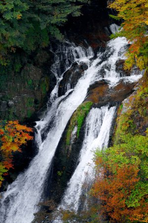 Photo for Beautiful scenery of Japan. Nikko's famous waterfall "Kirifuri-no-taki" - Royalty Free Image