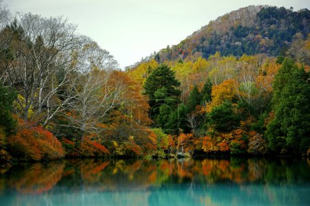 Photo for The scenery of beautiful autumn leaves in Japan The scenery of Nikko Yunoko like a painting - Royalty Free Image