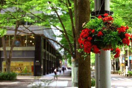 Tokyo Street ViewAn early summer scene of Marunouchi Nakadori Street with bright red ranunculus flowers adorning the streetlights