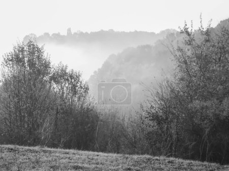 : Autumn fog in black and white.