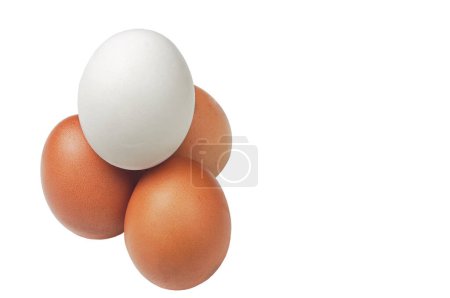 Photo for Three brown chicken eggs and one white organic free-range chicken egg. - Royalty Free Image