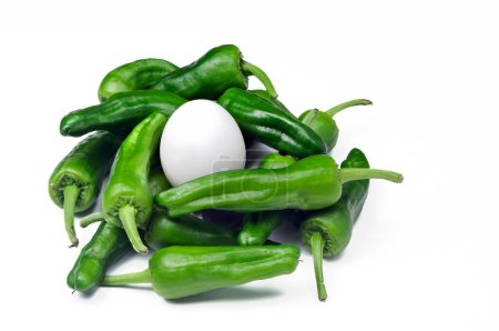 Photo for Padrn peppers with a white egg in the center of a white hen. - Royalty Free Image