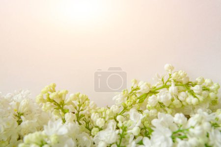 Téléchargez les photos : Fond en papier blanc avec des fleurs lilas blanc gros plan, carte ou modèle d'invitation de mariage - en image libre de droit