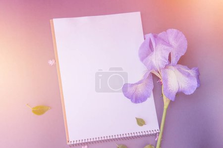 Photo for Empty space white list with gentle iris flower, floral mockup - Royalty Free Image