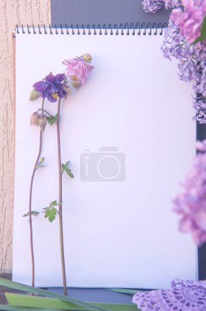 Téléchargez les photos : Floral background mockup with white empty space paper list, flowers and violet backdrop - en image libre de droit