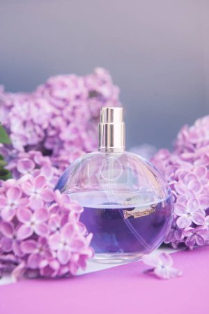 Foto de Frasco de perfume círculo violeta sobre fondo gris con flores lila - Imagen libre de derechos
