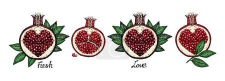 Illustration for Art pomegranates graphic vector sketches, pomegranates symbols with leaves and heart shaped seeds inside - Royalty Free Image