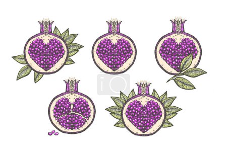 Ilustración de Cuento de hadas granadas de color rosa, colección de vectores gráficos, bocetos dibujados a mano, granadas símbolos con semillas en forma de corazón en el interior - Imagen libre de derechos