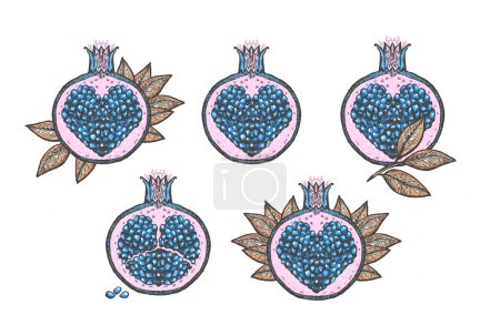 Ilustración de Fantasía granadas vector gráfico ilustración, bocetos dibujados a mano, granadas símbolos con forma de corazón semillas azules en el interior - Imagen libre de derechos