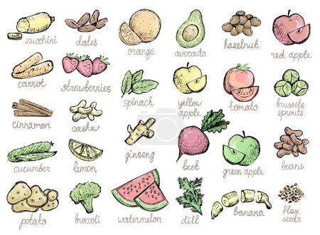 Téléchargez les illustrations : Ensemble de symboles graphiques de fruits et légumes crus, illustration dessinée à la main - en licence libre de droit