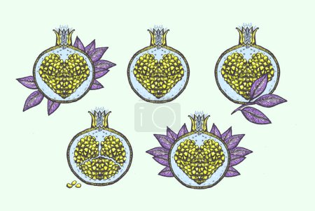 Illustration for Fancy heart shaped pomegranates graphic vector illustration set - Royalty Free Image