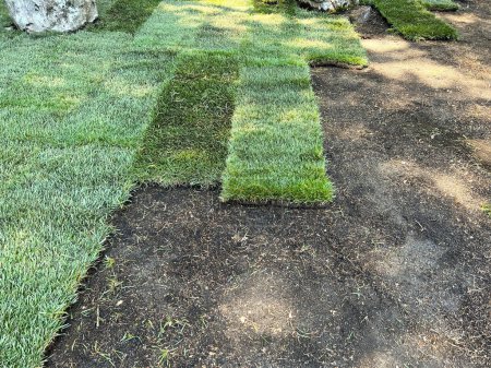 Foto de Laying rolled turf with grass on ground. Spring sunny day. New grass turf being installed in a garden. - Imagen libre de derechos