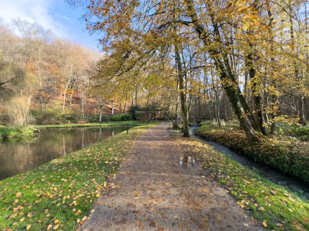 Zielony park rozrywki Bois des Reves z jeziorem w Ottignie Louvain la Neuve, prowincja Walonia Brabant, Belgia