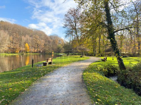 Zielony park rozrywki Bois des Reves z jeziorem w Ottignie Louvain la Neuve, prowincja Walonia Brabant, Belgia
