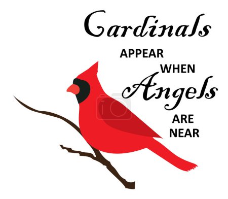 Illustration for Vector illustration of cardinals appear when angels are near. - Royalty Free Image