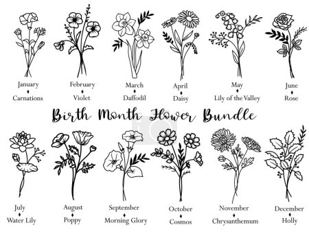 Illustration for Vector illustration of birth month flowers, bundle - Royalty Free Image